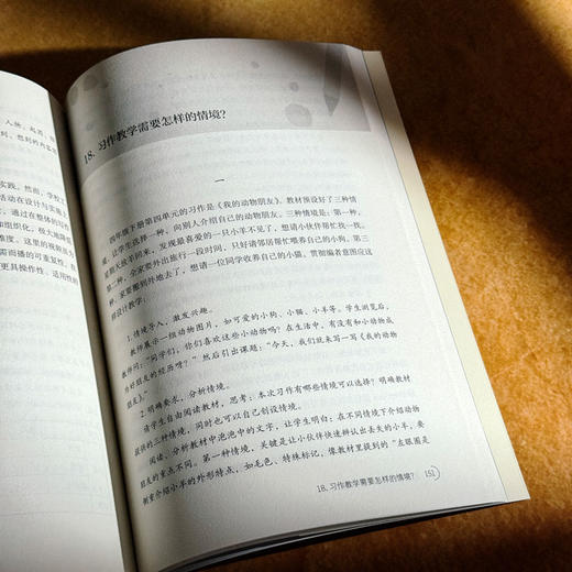 打开写作教学23个问号 大夏书系 作文教学 施茂枝 小学写作教学高频难点 商品图13