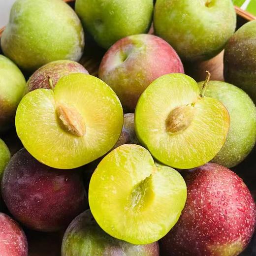 【京东快递】四川汉源 蜜饯李 脆嫩爽口 商品图3