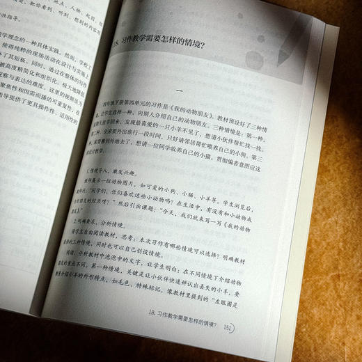 打开写作教学23个问号 大夏书系 作文教学 施茂枝 小学写作教学高频难点 商品图12