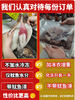 【YMHR】冰鲜大鱿鱼（4条） 商品缩略图1
