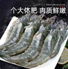 【YMHR】30-40只活虾 商品缩略图1