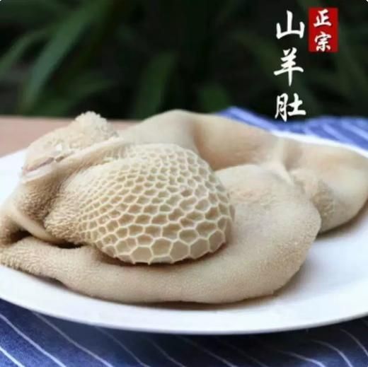 【YMHR】熟白羊肚 商品图0