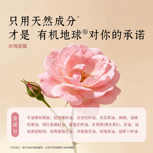 有机地球大马士革玫瑰面霜25ml 两瓶优惠 商品图4
