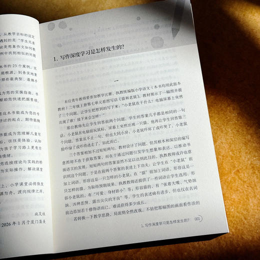 打开写作教学23个问号 大夏书系 作文教学 施茂枝 小学写作教学高频难点 商品图8