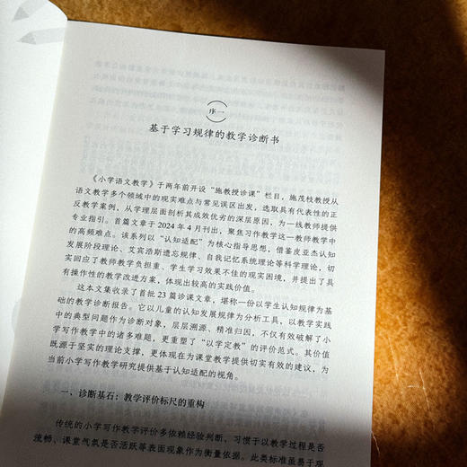 打开写作教学23个问号 大夏书系 作文教学 施茂枝 小学写作教学高频难点 商品图7