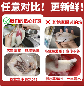 【YMHR】冰鲜大鱿鱼（4条）