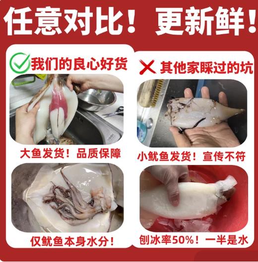 【YMHR】冰鲜大鱿鱼（4条） 商品图0