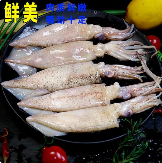 【YMHR】冰鲜大鱿鱼（4条） 商品图2