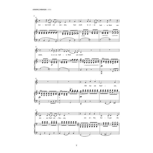 高校德奥艺术歌曲选集（初级）/查大林 汪昌博/浙江大学出版社 商品图2