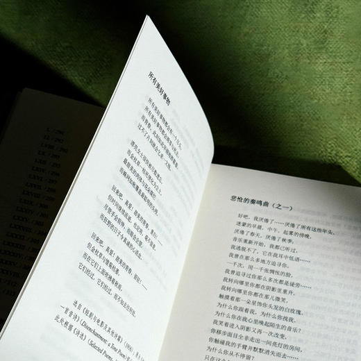 李白来信 康拉德·艾肯诗选 20世纪美国著名诗人中文世界首部诗歌精选集 商品图9
