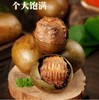 【YMHR】罗汉果 商品缩略图0