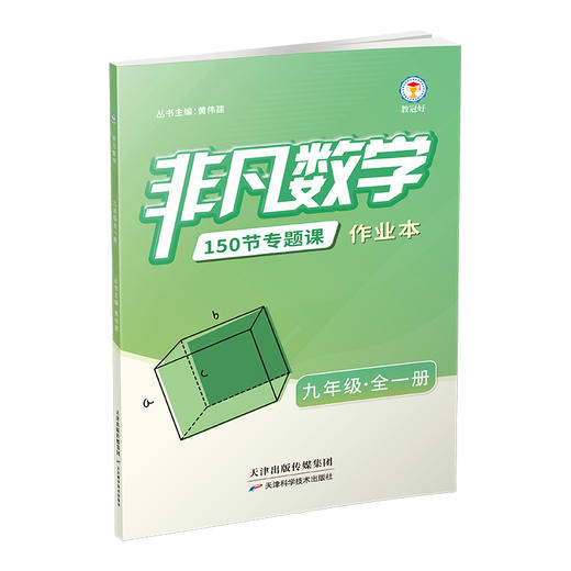 26新版 非凡数学  九年级 商品图3