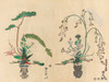 Ikebana: The Art and Beauty of Flower Arranging / 花道：插花的艺术与美 商品缩略图4
