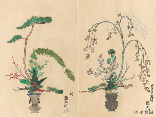 Ikebana: The Art and Beauty of Flower Arranging / 花道：插花的艺术与美 商品图4