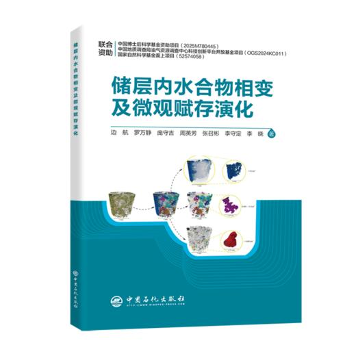 储层内水合物相变及微观赋存演化  适配勘探行业特点，辅以实例，前瞻研判智能化国际化发展趋势。 商品图0