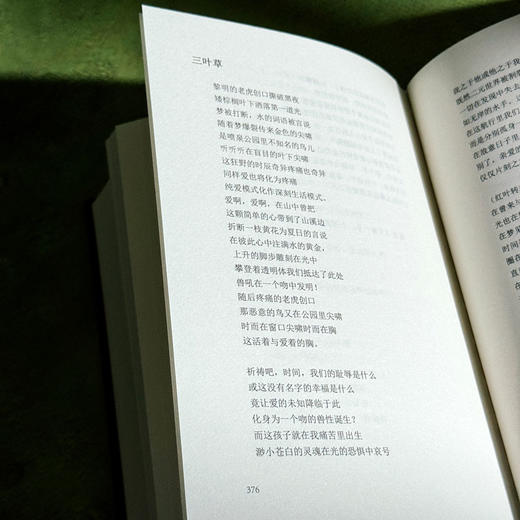 李白来信 康拉德·艾肯诗选 20世纪美国著名诗人中文世界首部诗歌精选集 商品图12