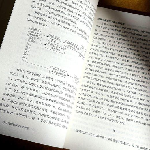 打开写作教学23个问号 大夏书系 作文教学 施茂枝 小学写作教学高频难点 商品图9
