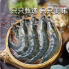 【YMHR】30-40只活虾 商品缩略图2
