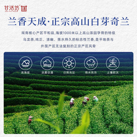 【甘活坊】白芽奇兰125g 商品图2
