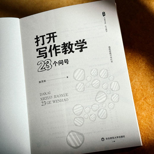 打开写作教学23个问号 大夏书系 作文教学 施茂枝 小学写作教学高频难点 商品图5