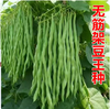 【YMHR】新鲜无筋豆架好豆王 商品缩略图2