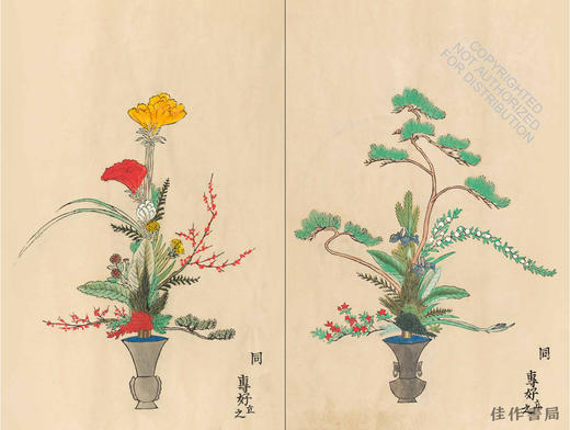 Ikebana: The Art and Beauty of Flower Arranging / 花道：插花的艺术与美 商品图2