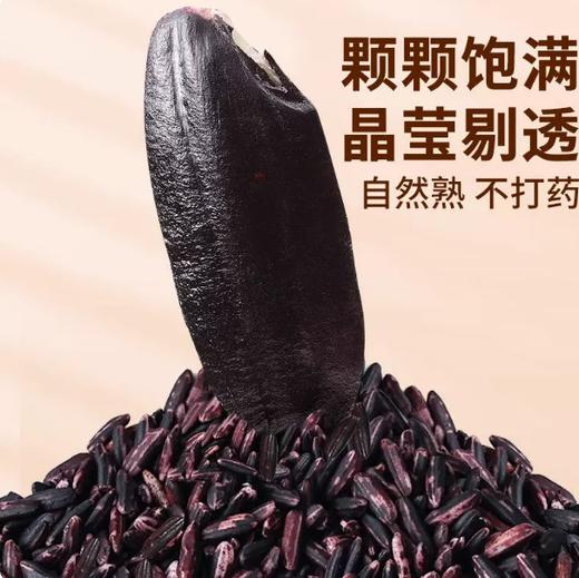 【YMHR】紫米 五谷杂粮  粗粮  臻选好米 商品图1