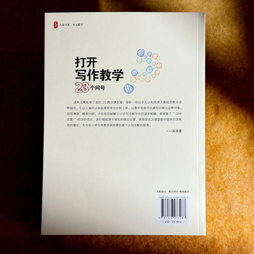 打开写作教学23个问号 大夏书系 作文教学 施茂枝 小学写作教学高频难点 商品图2