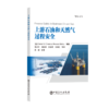 上游石油和天然气过程安全 CCPS介绍上游油气过程安全的图书  商品缩略图0