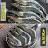 【YMHR】30-40只活虾 商品缩略图3