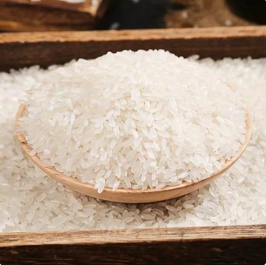【YMHR】 孟府 五常大米5kg 商品图2