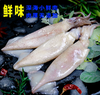 【YMHR】冰鲜大鱿鱼（4条） 商品缩略图3