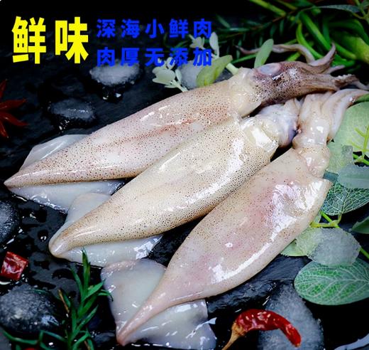 【YMHR】冰鲜大鱿鱼（4条） 商品图3
