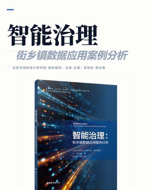 智能治理：街乡镇数据应用案例分析 商品图2