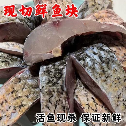 【YMHR】新鲜鲤鱼 鲤鱼切块 商品图3
