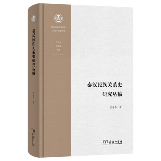 秦汉民族关系史研究丛稿(西北大学中华民族共同体研究丛书) 商品图0