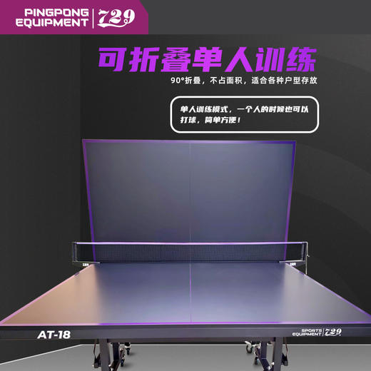 七二九729乒乓球台专业乒乓球桌AT-18可折叠单人训练家用球桌18mm 商品图2