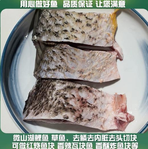 【YMHR】新鲜鲤鱼 鲤鱼切块 商品图1