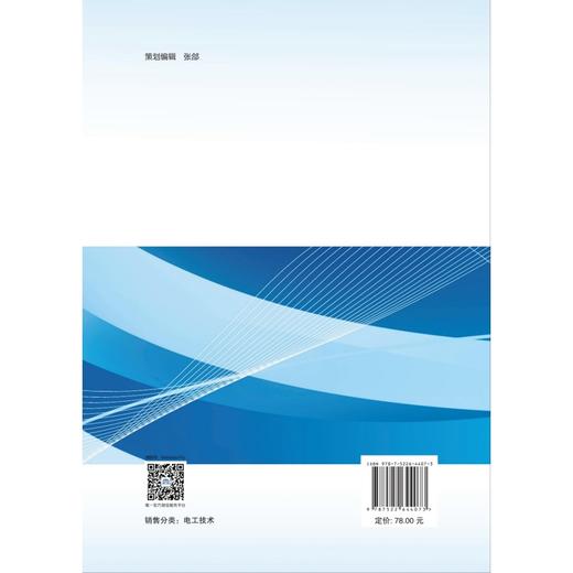 站用直流电源系统技术应用 商品图1