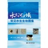 永定河流域常见水生生物图集 商品缩略图0