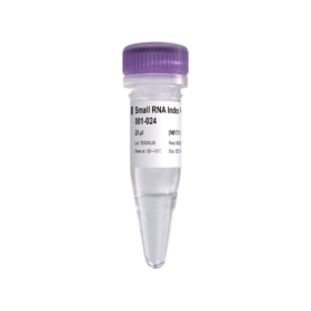 VAHTS Small RNA Index Primer Kit for Illumina V2