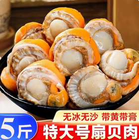 【YMHR】冷冻海鲜  扇贝肉5斤一袋