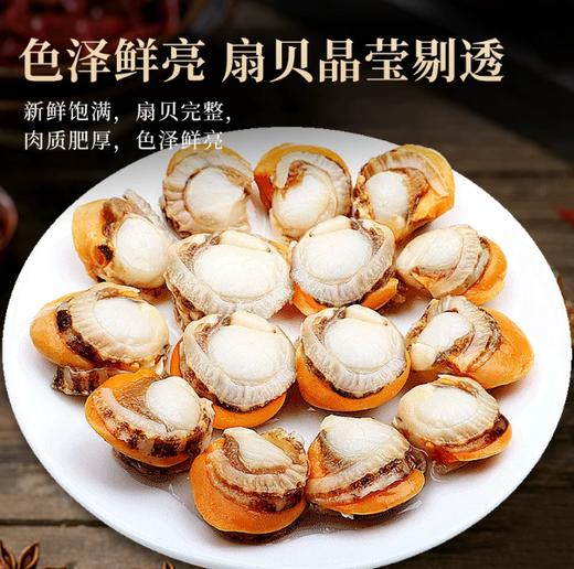 【YMHR】冷冻海鲜  扇贝肉5斤一袋 商品图2