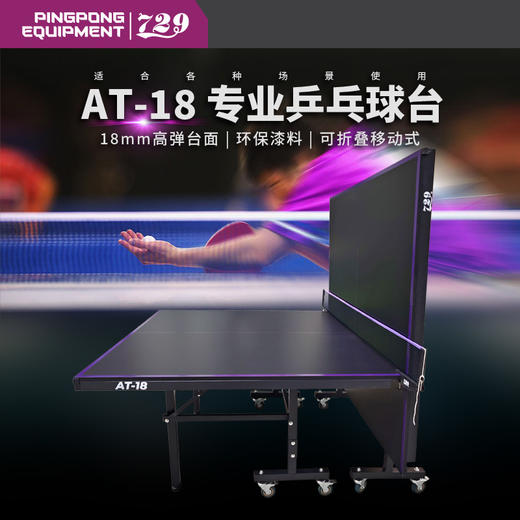 七二九729乒乓球台专业乒乓球桌AT-18可折叠单人训练家用球桌18mm 商品图0