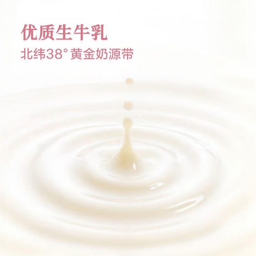 MM 山姆 茉莉奶白 轻乳茶饮料 320ml*6/12瓶 商品图3