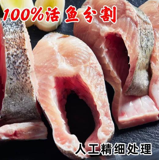 【YMHR】新鲜草鱼 草鱼切块 商品图2