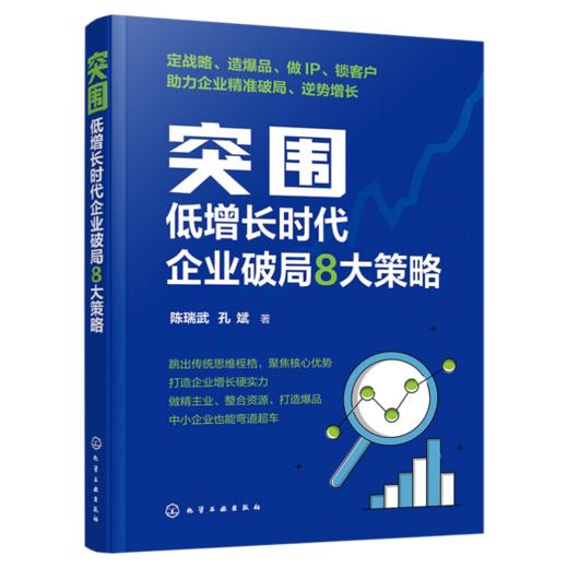 突围：低增长时代企业破局8大策略 商品图4