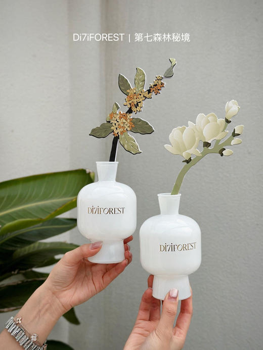 【69元到手600ml≈12瓶香薰】“好运碌柚叶” 碌柚叶无火香薰  柚见好运  无需点火 藤条自然散香 商品图7