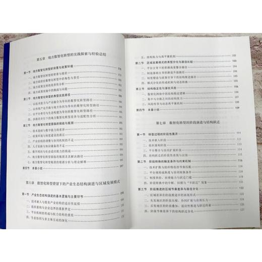 数智化转型与产业生态重塑：机制、路径与实践 商品图1