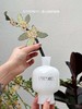 【69元到手600ml≈12瓶香薰】“好运碌柚叶” 碌柚叶无火香薰  柚见好运  无需点火 藤条自然散香 商品缩略图8